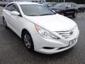 Shimmering White - Sonata GLS Photo No. 3