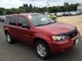 2006 Redfire Metallic Ford Escape Limited 4WD  photo #4