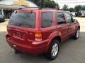 2006 Redfire Metallic Ford Escape Limited 4WD  photo #13