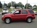 2006 Redfire Metallic Ford Escape Limited 4WD  photo #19