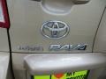 2010 Sandy Beach Metallic Toyota RAV4 I4  photo #16