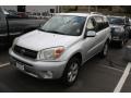 Titanium Metallic - RAV4  Photo No. 4
