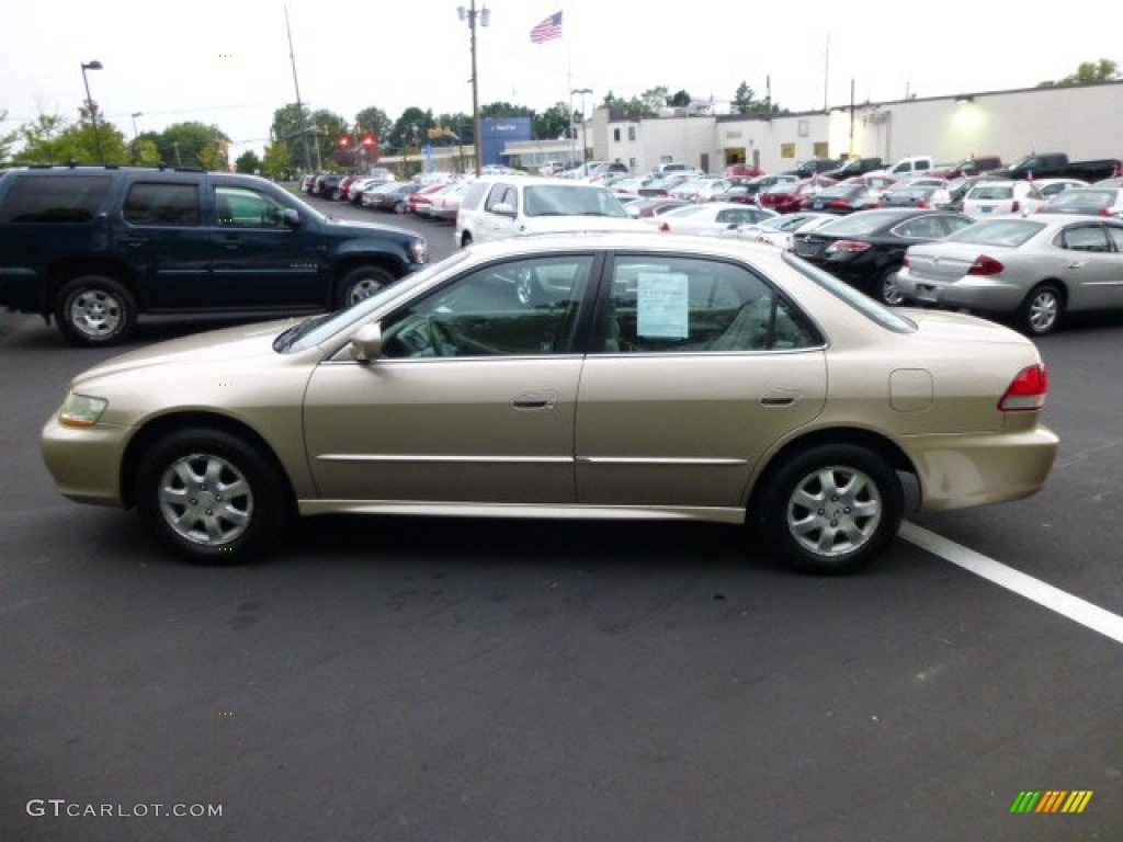 2002 Accord EX Sedan - Naples Gold Metallic / Ivory photo #4