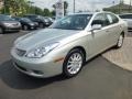 Millennium Silver Metallic - ES 330 Photo No. 3