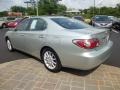 Millennium Silver Metallic - ES 330 Photo No. 5
