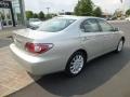 Millennium Silver Metallic - ES 330 Photo No. 7