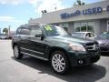 2010 Jade Green Metallic Mercedes-Benz GLK 350  photo #2