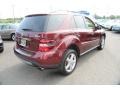 Barolo Red Metallic - ML 350 4Matic Photo No. 6