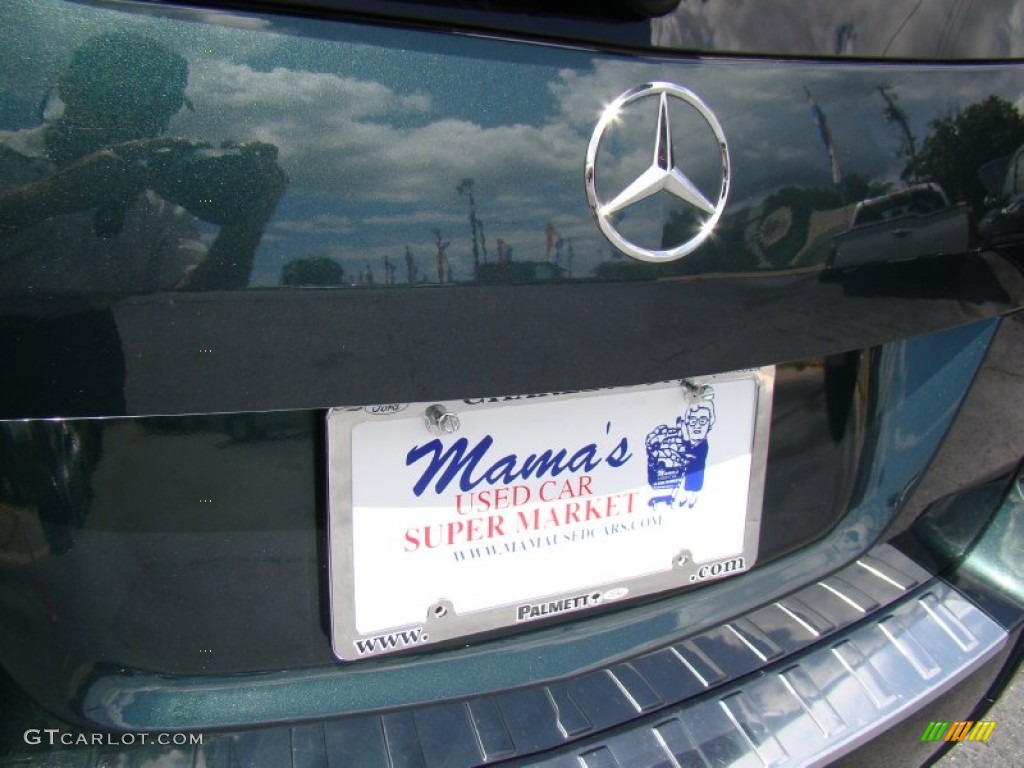 2010 GLK 350 - Jade Green Metallic / Almond/Black photo #34