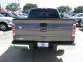 2013 Sterling Gray Metallic Ford F150 XLT SuperCrew  photo #4