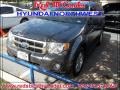 Sterling Gray Metallic - Escape XLT Photo No. 1