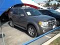 Sterling Gray Metallic - Escape XLT Photo No. 2