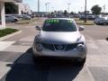 Chrome Silver - Juke SV Photo No. 2