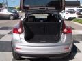Chrome Silver - Juke SV Photo No. 5