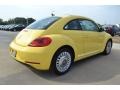 Yellow Rush - Beetle 2.5L Photo No. 2