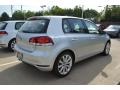 Reflex Silver Metallic - Golf 4 Door TDI Photo No. 2