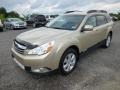 2010 Harvest Gold Metallic Subaru Outback 2.5i Premium Wagon  photo #3