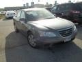 Willow Gray - Sonata GLS Photo No. 2