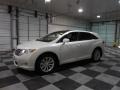 Blizzard Pearl White - Venza I4 Photo No. 4