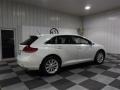 Blizzard Pearl White - Venza I4 Photo No. 7