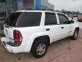 2002 Summit White Chevrolet TrailBlazer LS 4x4  photo #11