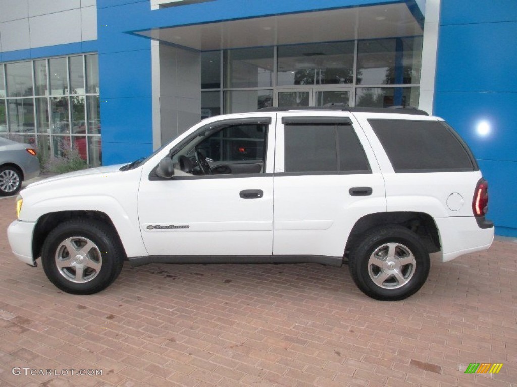 2002 TrailBlazer LS 4x4 - Summit White / Dark Pewter photo #13