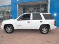 2002 Summit White Chevrolet TrailBlazer LS 4x4  photo #13