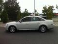 Dune Pearl Metallic - Taurus SEL Photo No. 4