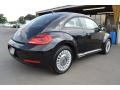 Black - Beetle 2.5L Photo No. 2