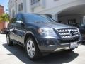 Steel Grey Metallic - ML 350 Photo No. 1