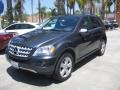 Steel Grey Metallic - ML 350 Photo No. 5