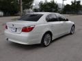 Alpine White - 5 Series 530i Sedan Photo No. 5