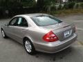 Pewter Metallic - E 320 Sedan Photo No. 5