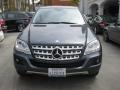 Steel Grey Metallic - ML 350 Photo No. 6