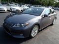 Nebula Gray Pearl - ES 350 Photo No. 2