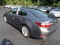 Nebula Gray Pearl - ES 350 Photo No. 8