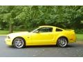2006 Screaming Yellow Ford Mustang GT Deluxe Coupe  photo #4