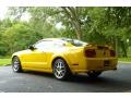 2006 Screaming Yellow Ford Mustang GT Deluxe Coupe  photo #5