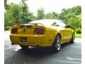 2006 Screaming Yellow Ford Mustang GT Deluxe Coupe  photo #7