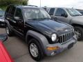 Black Clearcoat - Liberty Sport 4x4 Photo No. 1