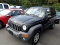 Black Clearcoat - Liberty Sport 4x4 Photo No. 3