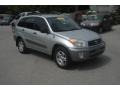 2002 Titanium Metallic Toyota RAV4   photo #1