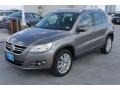 Alpine Grey Metallic - Tiguan SE Photo No. 3