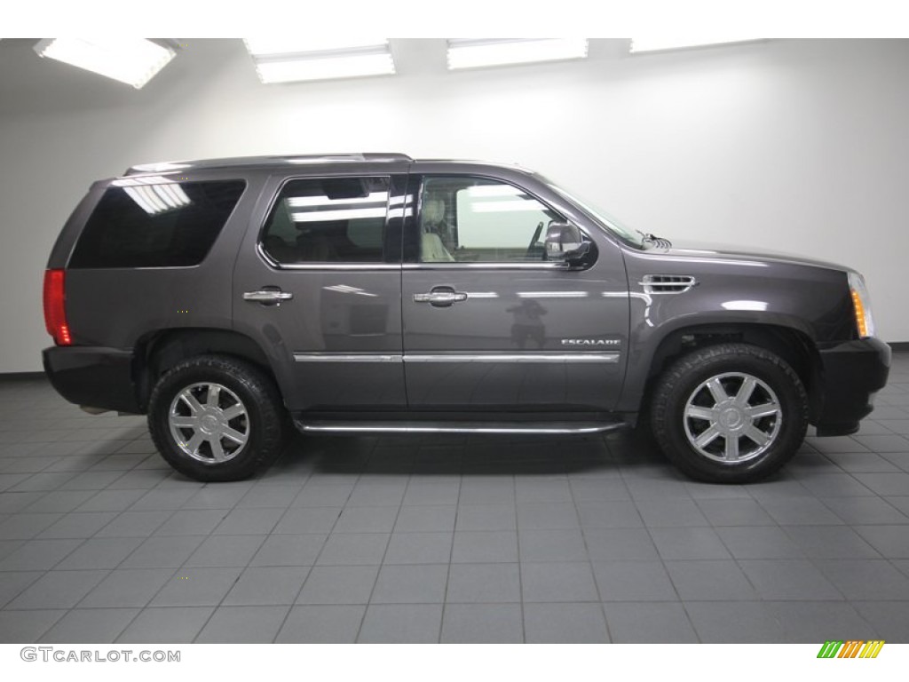 2010 Escalade AWD - Galaxy Gray / Cashmere/Cocoa photo #10