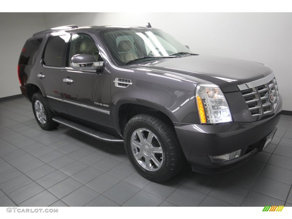 2010 Escalade AWD - Galaxy Gray / Cashmere/Cocoa photo #11