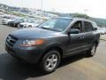 Slate Blue - Santa Fe GLS 4WD Photo No. 6