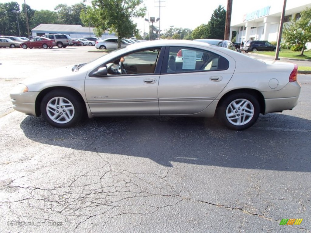 2000 Intrepid  - Champagne Pearl Metallic / Camel Tan photo #6