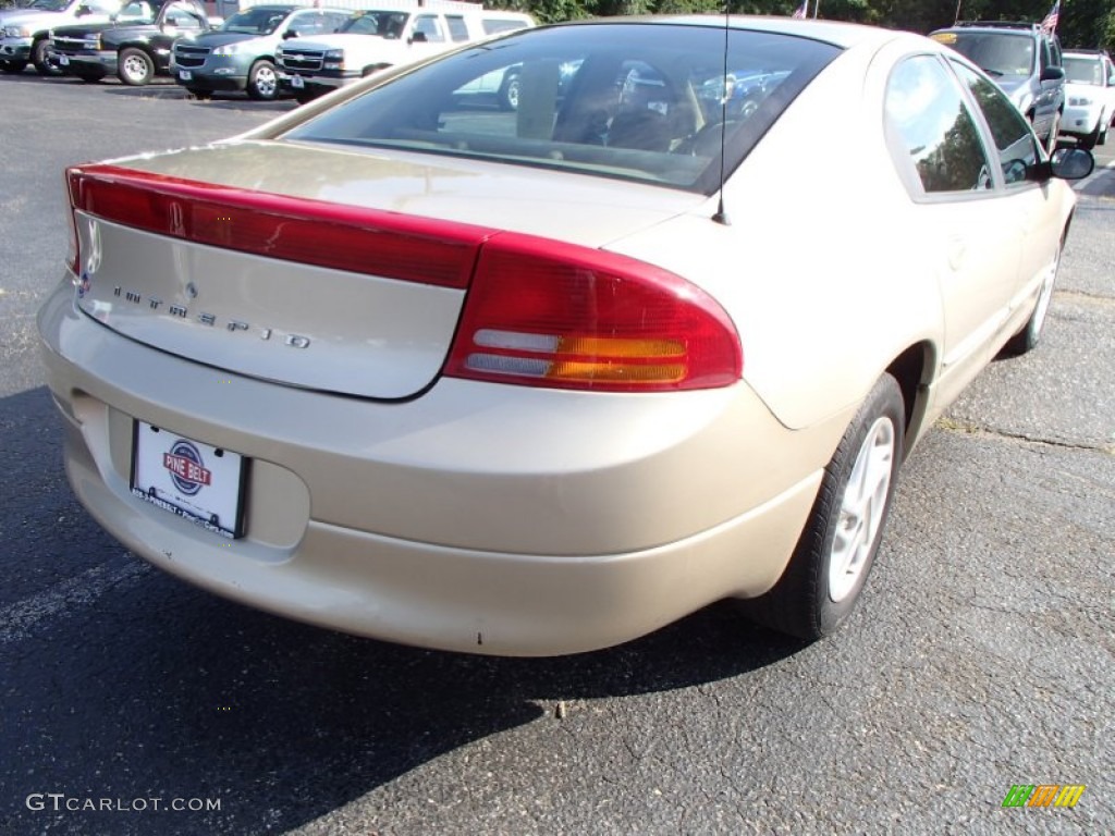 2000 Intrepid  - Champagne Pearl Metallic / Camel Tan photo #7