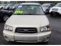 Champagne Gold Opalescent - Forester 2.5 XS Photo No. 2
