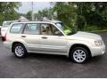 Champagne Gold Opalescent - Forester 2.5 XS Photo No. 5